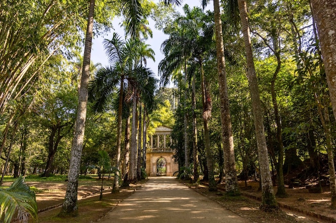 Caminho arborizado ladeado por altas palmeiras e vegetação densa, levando ao portão histórico do Jardim Botânico do Rio de Janeiro sob luz suave do sol.