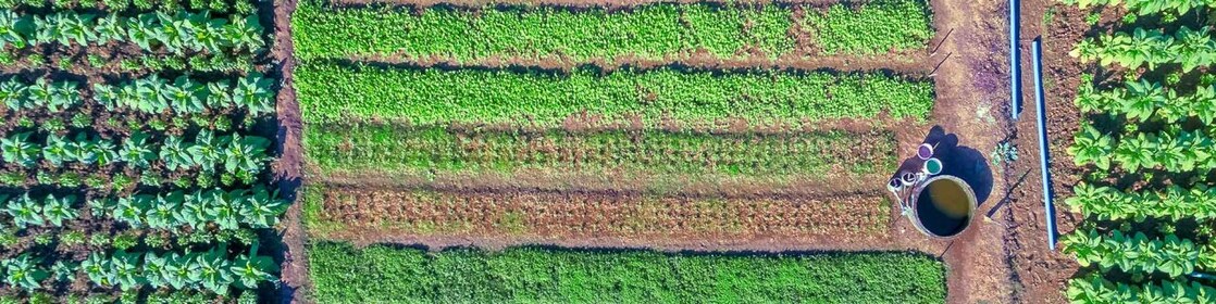 Lubrificantes Shell para a agricultura