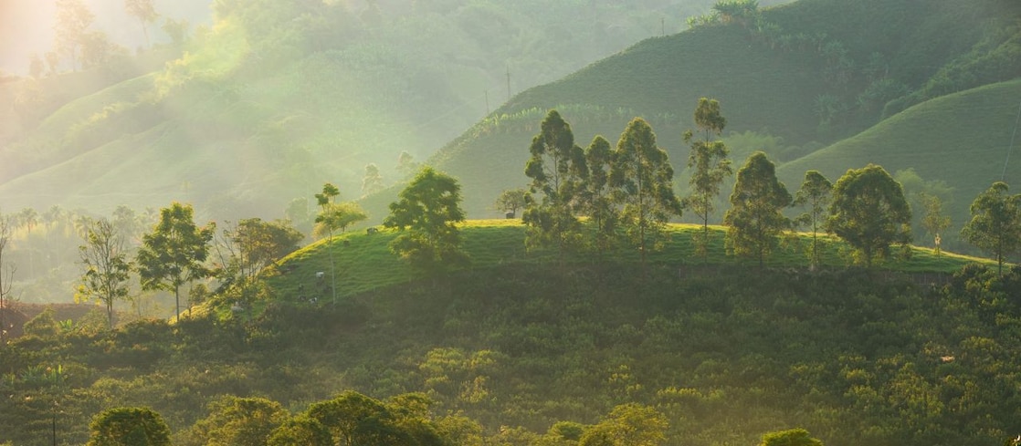 Paisagem rural iluminada pela luz suave do amanhecer, com colinas verdes ao fundo, árvores espalhadas pelo terreno e áreas de vegetação densa. A luz do sol atravessa a neblina leve, criando sombras longas e um brilho dourado sobre o campo.