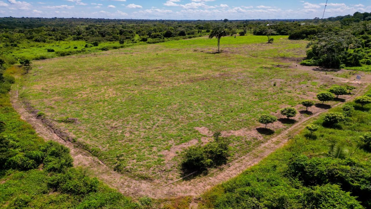 Foto mostra campo que faz parte do projeto Nanorads.
