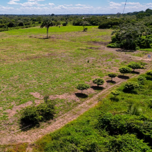 Foto mostra campo que faz parte do projeto Nanorads.