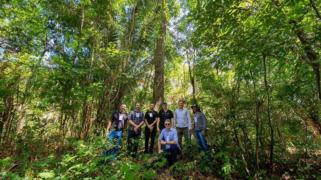 Foto mostra pessoas regando planta do projeto Nanorads.