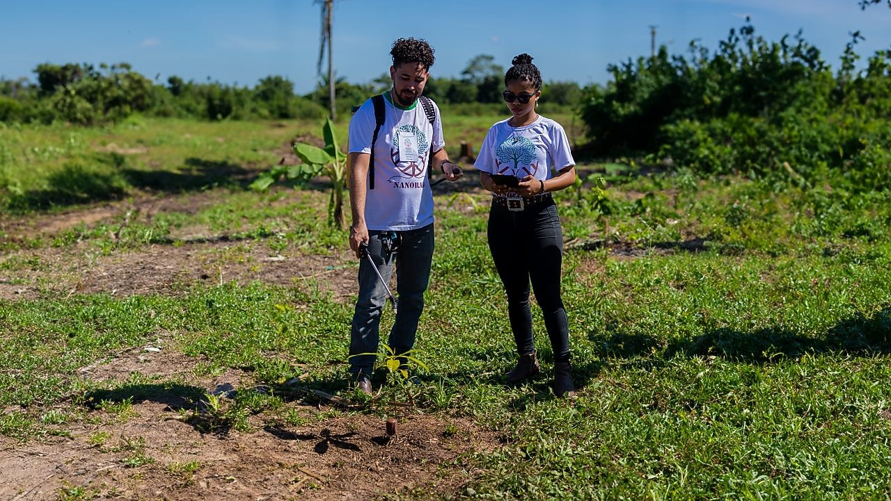 Foto mostra pessoas regando planta do projeto Nanorads.