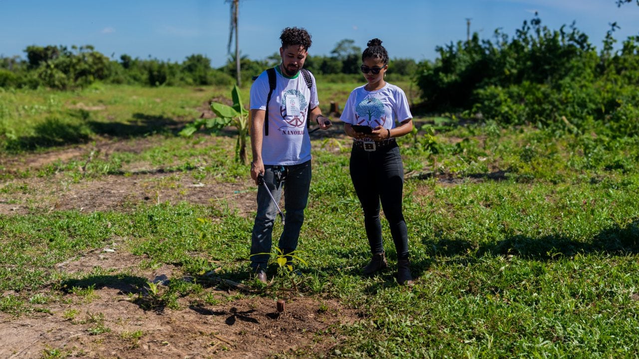 Foto mostra pessoas regando planta do projeto Nanorads.