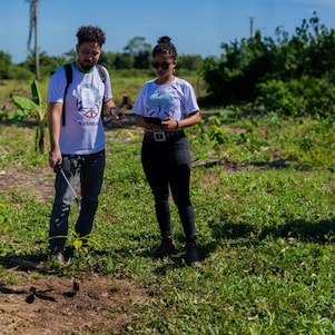 Foto mostra pessoas regando planta do projeto Nanorads.