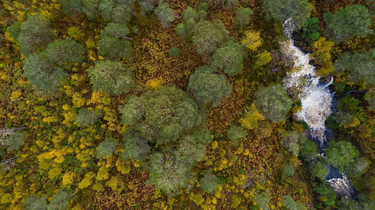 Dois técnicos inspecionando um painel solar