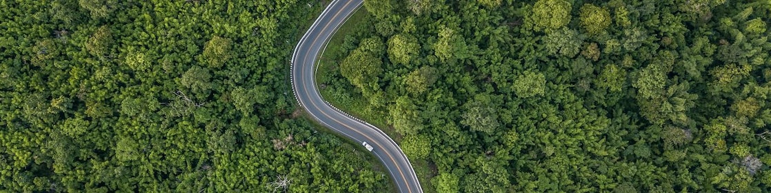 Foto aérea de uma estrada atravessando um grande bosque