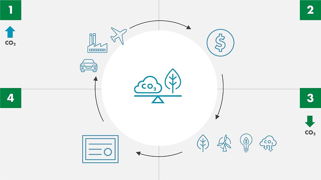 Reduza sua pegada de carbono com o nosso portfolio crescente de opções em soluções baseadas na Natureza.