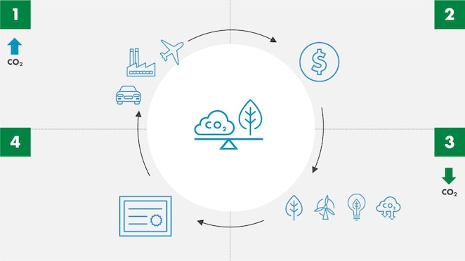 Reduza sua pegada de carbono com o nosso portfolio crescente de opções em soluções baseadas na Natureza.