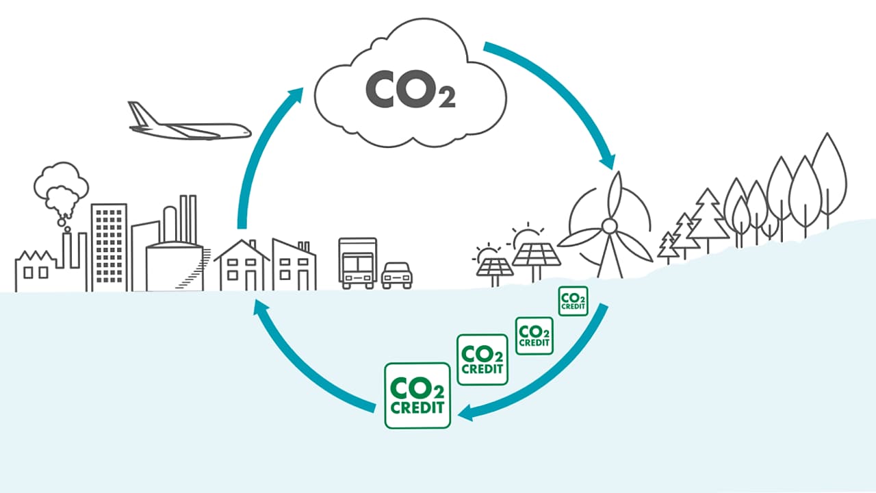 Ilustração de um ciclo de compensação de carbono