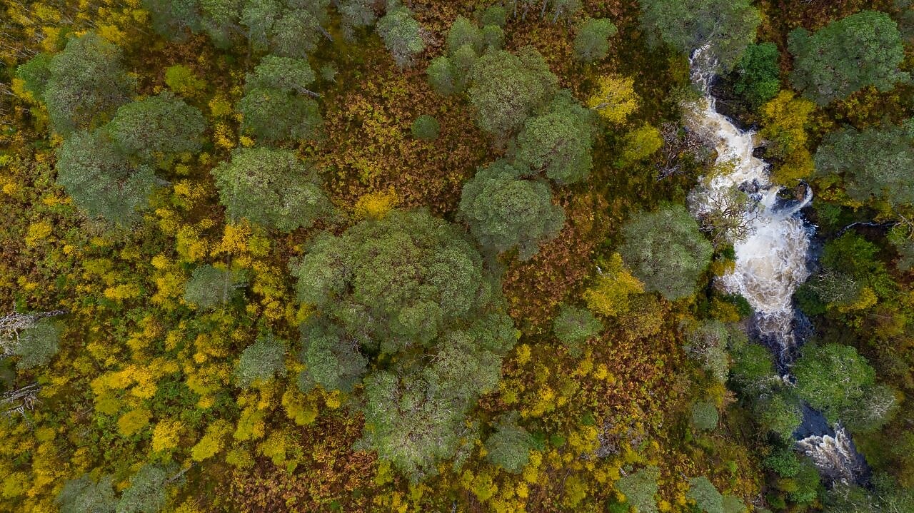 Dois técnicos inspecionando um painel solar