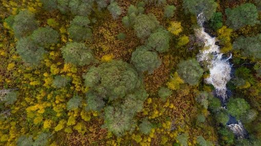 Dois técnicos inspecionando um painel solar