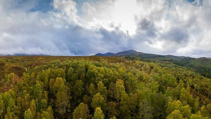 Créditos de Carbono e as mudanças climáticas