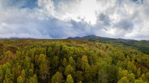 Créditos de Carbono e as mudanças climáticas