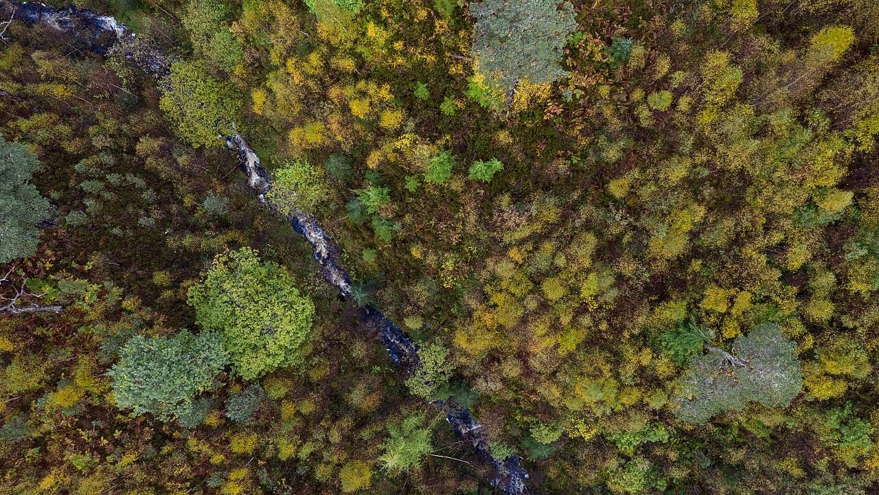 Detalhes de uma subestação elétrica