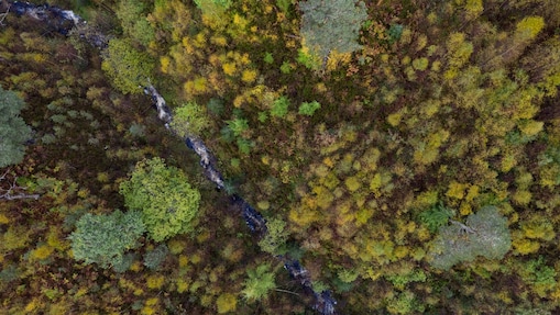 Detalhes de uma subestação elétrica