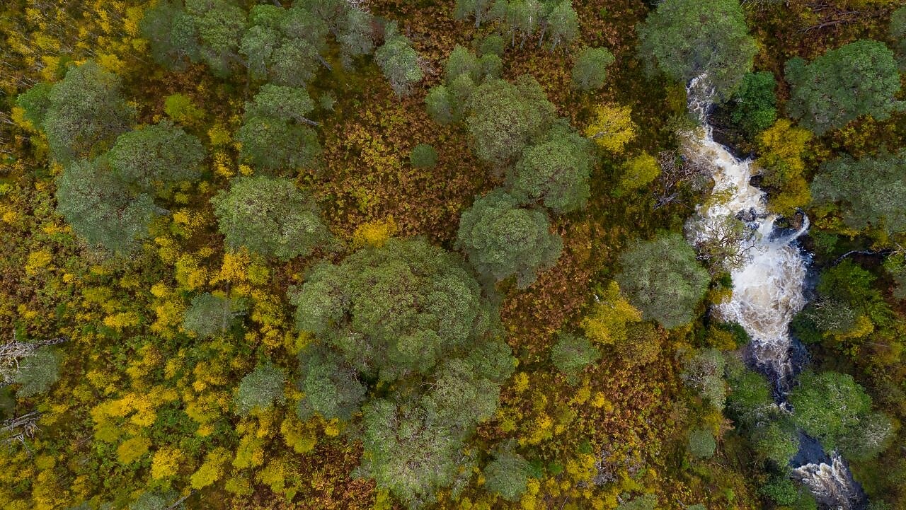 Dois técnicos inspecionando um painel solar