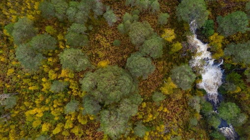Dois técnicos inspecionando um painel solar