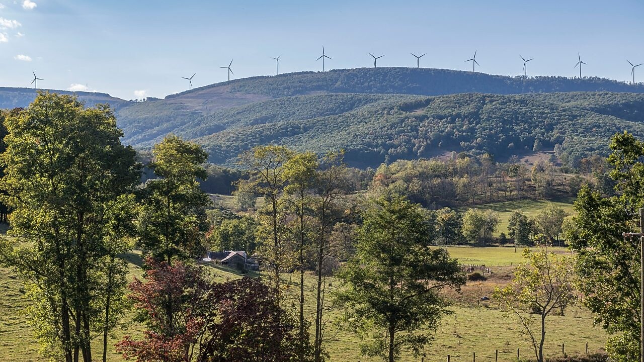 Vista aérea de uma densa floresta