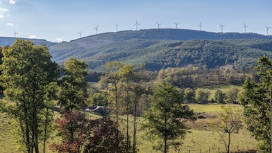 Vista aérea de uma densa floresta