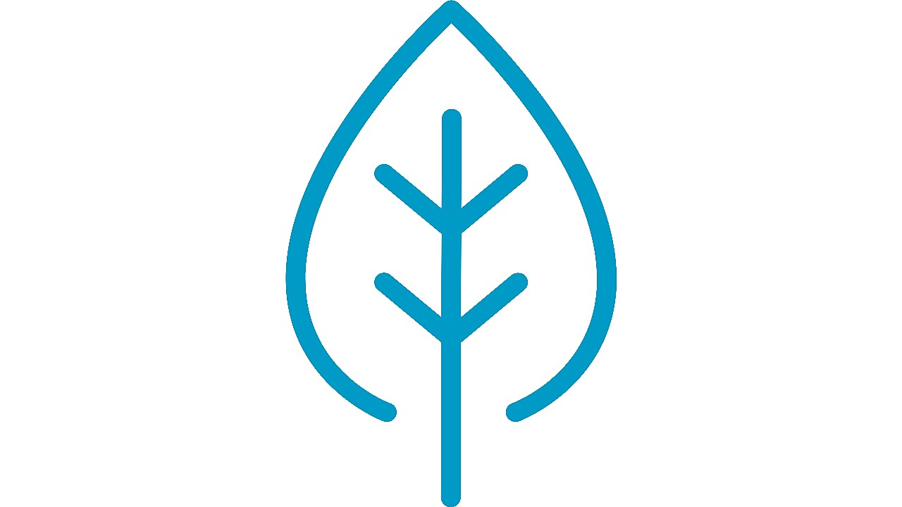 Icons Efficiency and Sustainability