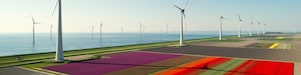 Ampla pista terrestre e mar ao fundo, ambas com turbinas eólicas