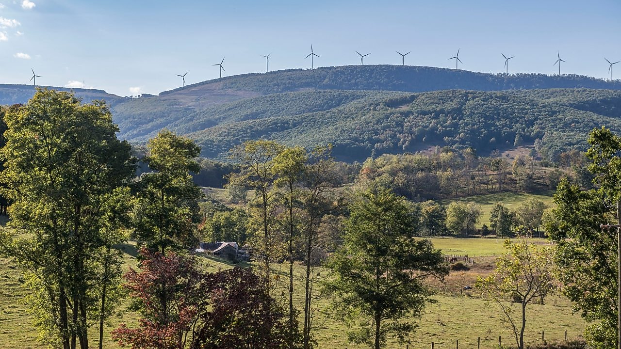 Vista aérea de uma densa floresta
