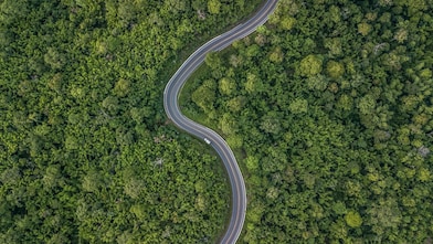 uma estrada curva, vista de cima, atravessando uma densa floresta