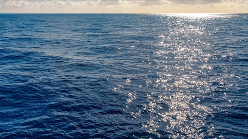 Superfície do oceano iluminada pelo sol, com pequenas ondas e reflexos dourados se espalhando pela água azul. O horizonte mostra o encontro do mar com o céu claro e algumas nuvens dispersas.