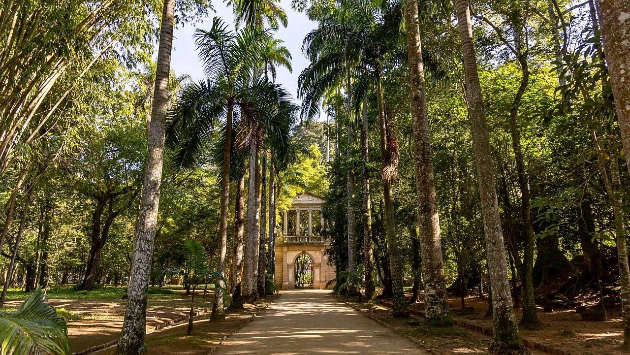 Caminho de terra ladeado por altas palmeiras imperiais em meio a uma vegetação densa e verde, levando até uma construção neoclássica de pedra com colunas e portão de ferro ao fundo, sob luz suave do sol filtrada pelas copas das árvores.