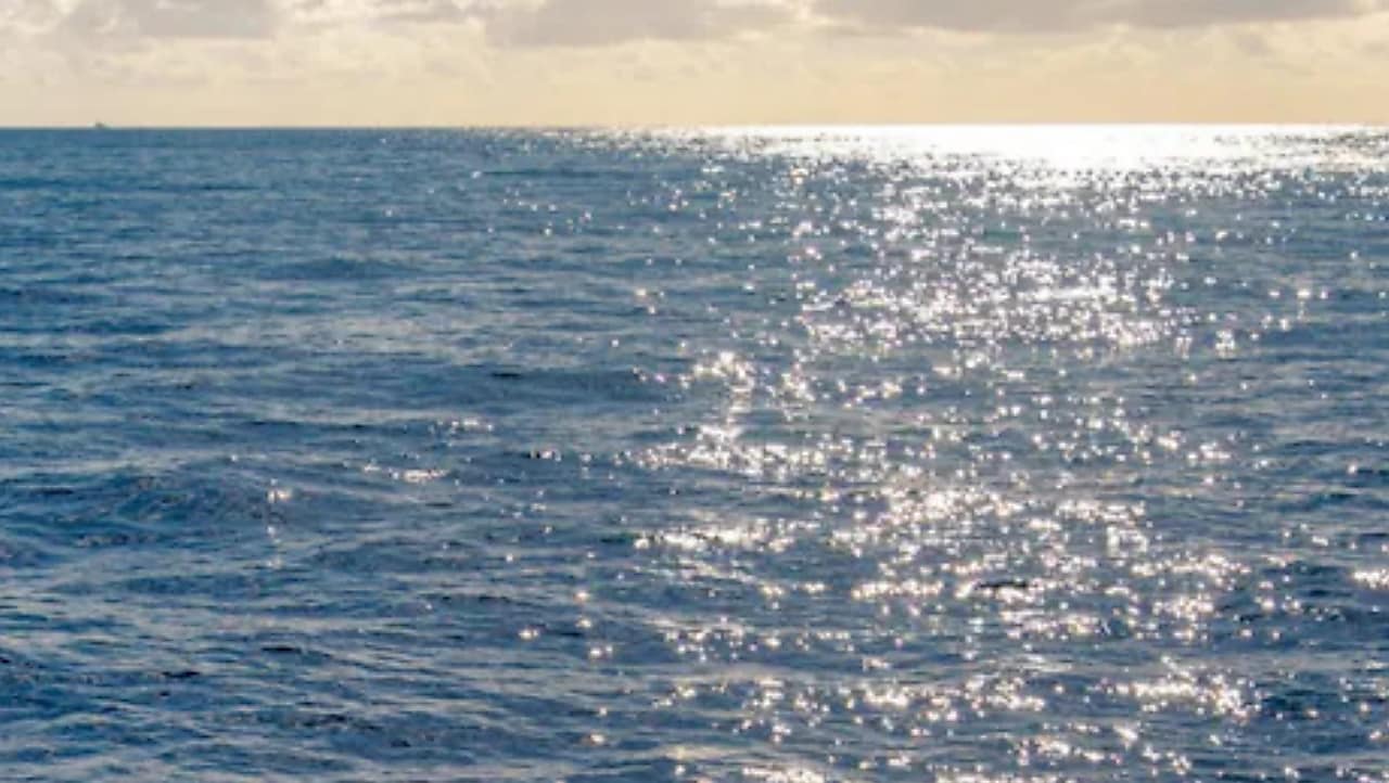Superfície do mar iluminada pelo sol, com reflexos prateados sobre a água azul e horizonte ao fundo. 