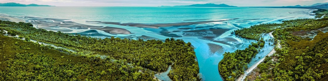Em uma vista aérea,é possível observar o deságue de um rio no oceano, em meio a uma densa floresta tropical de vegetação bastante verde.
