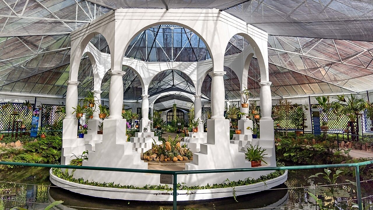 Estufa do Jardim Botânico com estrutura branca em arcos e colunas, cercada por plantas e orquídeas em vasos, sob cobertura translúcida que permite a entrada de luz natural. 