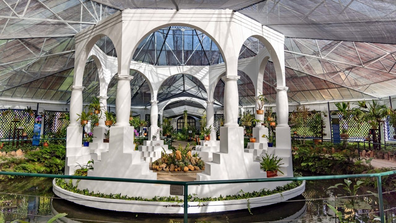 Estufa do Jardim Botânico com estrutura branca em arcos e colunas, cercada por plantas e orquídeas em vasos, sob cobertura translúcida que permite a entrada de luz natural. 