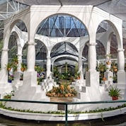 Estufa do Jardim Botânico com estrutura branca em arcos e colunas, cercada por plantas e orquídeas em vasos, sob cobertura translúcida que permite a entrada de luz natural. 