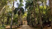 Caminho arborizado ladeado por altas palmeiras e vegetação densa, levando ao portão histórico do Jardim Botânico do Rio de Janeiro sob luz suave do sol. 
