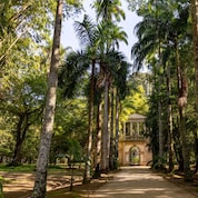 Caminho arborizado ladeado por altas palmeiras e vegetação densa, levando ao portão histórico do Jardim Botânico do Rio de Janeiro sob luz suave do sol. 