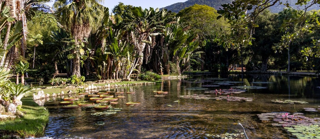 Lago com vitórias-régias e garça branca em primeiro plano, cercado por vegetação tropical exuberante e palmeiras altas, com montanha ao fundo sob céu azul claro. 