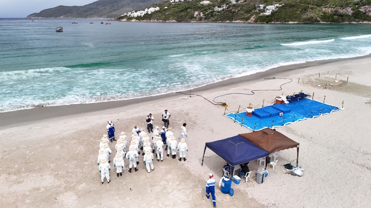 Vista aérea de uma praia cercada por mar azul-esverdeado e morros ao fundo. Na faixa de areia, uma equipe de profissionais vestindo macacões brancos de proteção, chapéus e botas participa de uma atividade de orientação em grupo. Próximo a eles, há tendas de apoio, equipamentos organizados sobre lonas azuis e áreas delimitadas por cordas. Embarcações podem ser vistas ao longe, próximas à costa.
