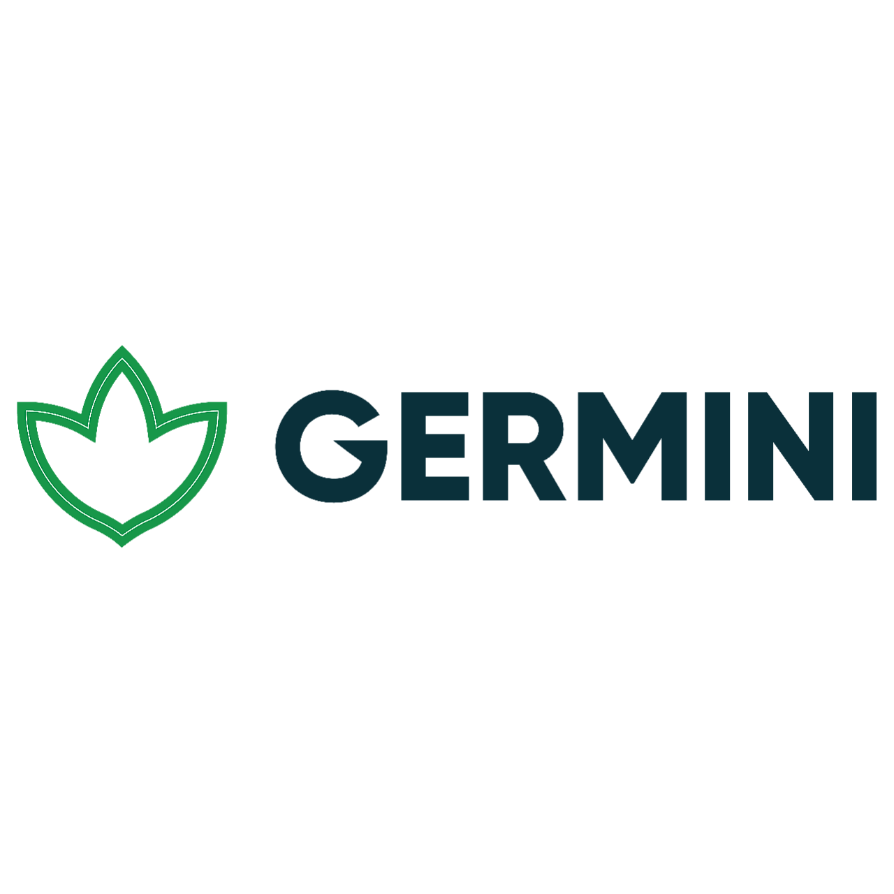 Germini logo