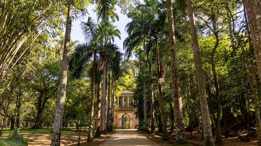 Caminho de terra ladeado por altas palmeiras imperiais em meio a uma vegetação densa e verde, levando até uma construção neoclássica de pedra com colunas e portão de ferro ao fundo, sob luz suave do sol filtrada pelas copas das árvores.